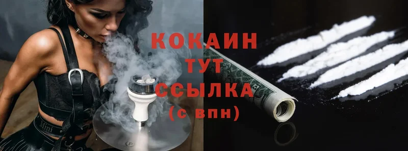 дарнет шоп  Алдан  Cocaine FishScale 